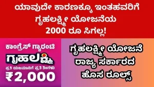 Read more about the article BREAKING : ಗೃಹಲಕ್ಷ್ಮೀ ಯೋಜನೆಗೆ ಅರ್ಜಿ ಸಲ್ಲಿಸಲು ತೆರೆಳುವಾಗ ನೀವು ತಿಳಿದುಕೊಳ್ಳಬಹುದಾದ ಮಹತ್ವದ ಮಾಹಿತಿ ಇಲ್ಲಿದೆ..!!