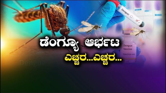 Read more about the article BREAKING NEWS : ರಾಜ್ಯದಲ್ಲಿ ‘ಡೆಂಘಿ’ ಆರ್ಭಟ : ಶಿವಮೊಗ್ಗದಲ್ಲಿ ಶಂಕಿತ ಸೊಂಕಿಗೆ ಮಹಿಳೆ ಬಲಿ..!!